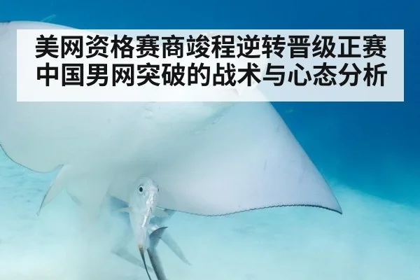 美网资格赛商竣程逆转晋级正赛 中国男网突破的战术与心态分析